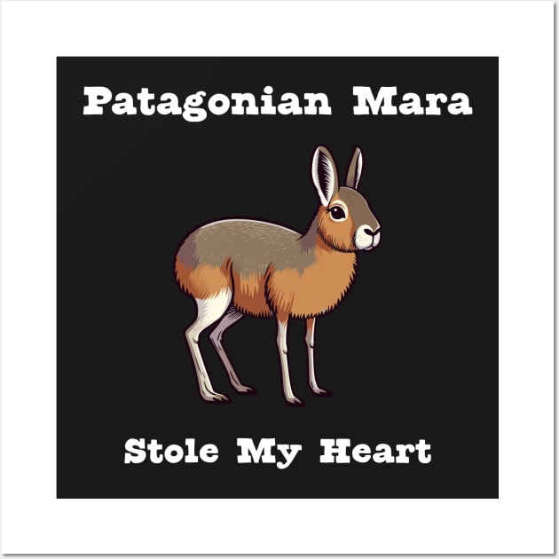 Patagonian Mara Wall Art by dinokate